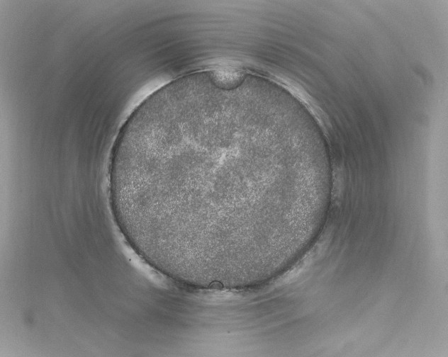 X0000114661042200911171106