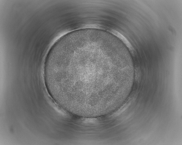 X0000114661043200911171106