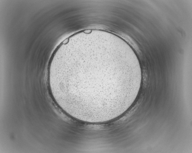 X0000114661044200911171107