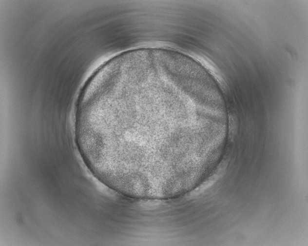 X0000114661046200911171107