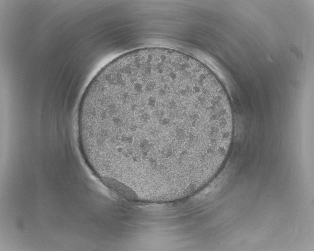 X0000114661048200911171107