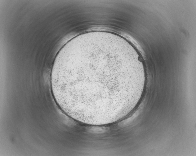 X0000114661049200911171107