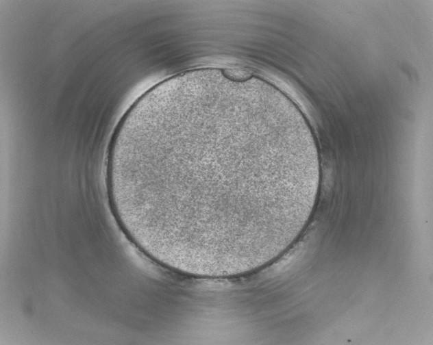 X0000114661050200911171107