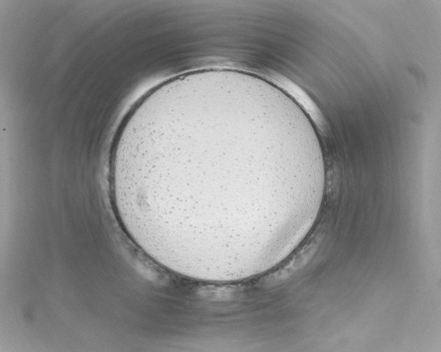 X0000114661051200911171107