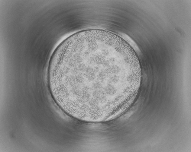 X0000114661052200911171107