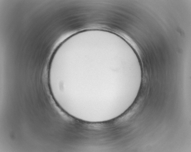 X0000114661053200911171107