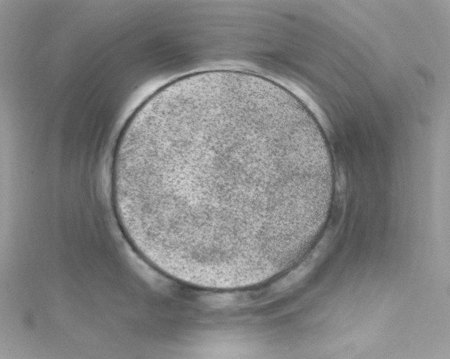 X0000114661054200911171107