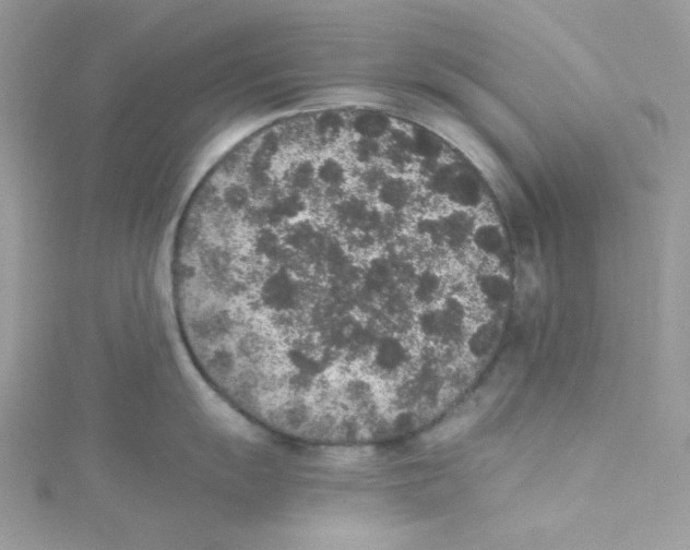 X0000114661055200911171107