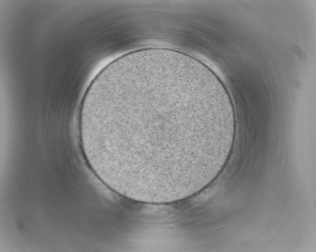 X0000114661056200911171107