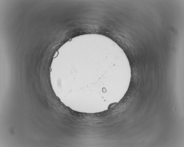 X0000114661057200911171106