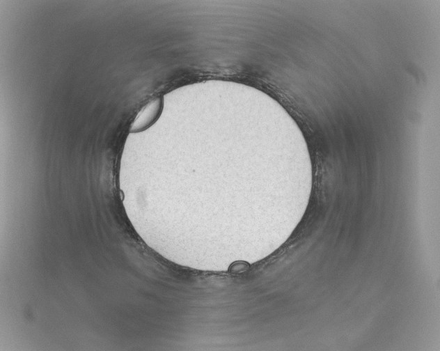 X0000114661058200911171106