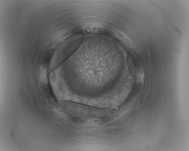 X0000114661060200911171106