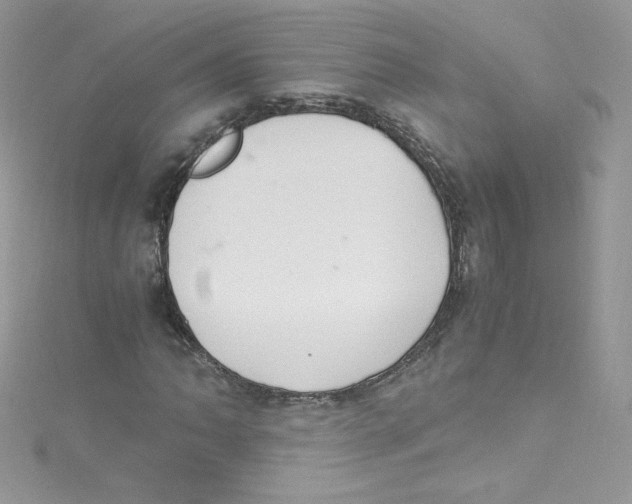 X0000114661062200911171106