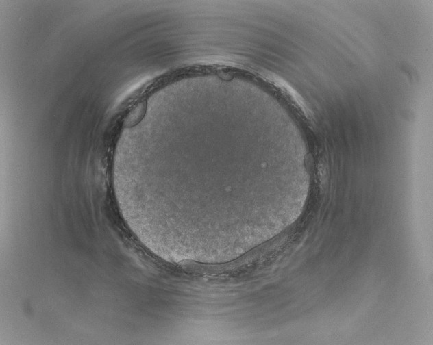 X0000114661064200911171106