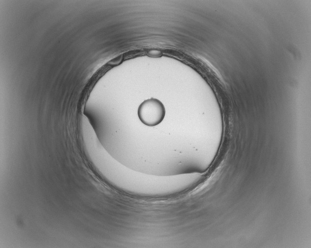 X0000114661065200911171106