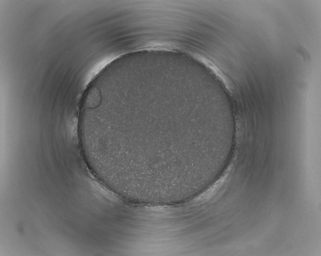 X0000114661066200911171106