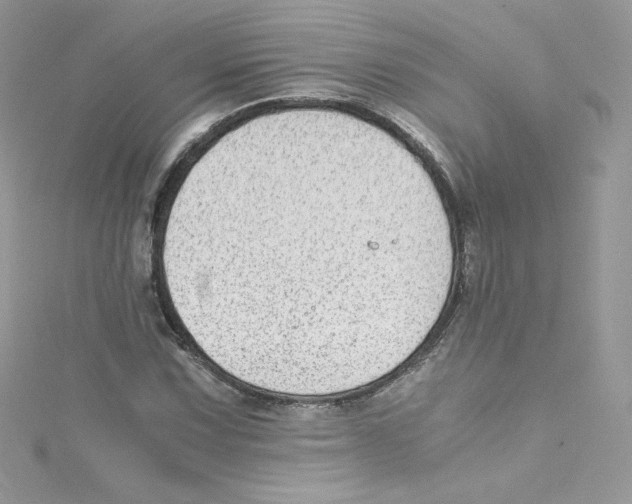 X0000114661067200911171106