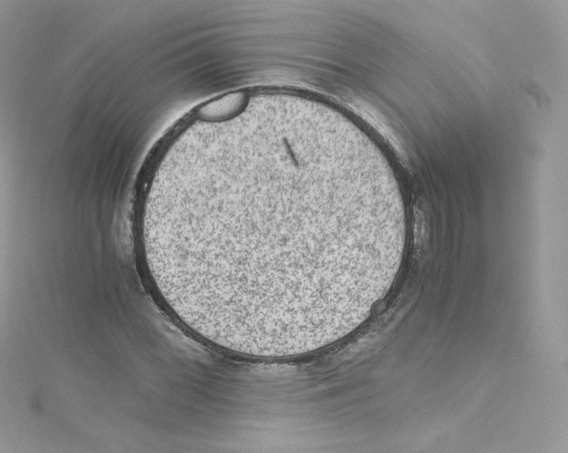 X0000114661068200911171106