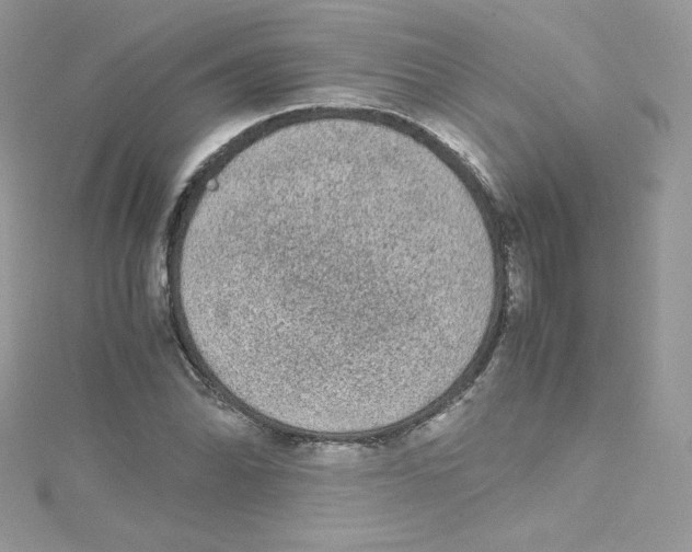 X0000114661070200911171106