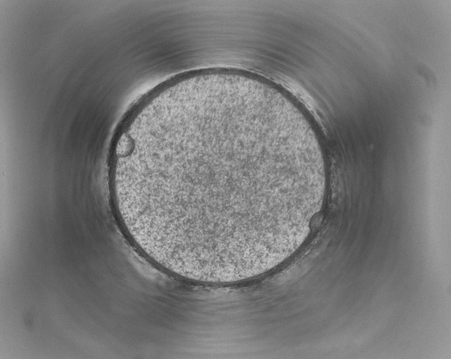 X0000114661072200911171106