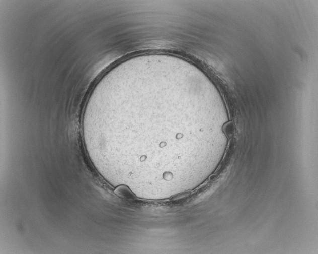 X0000114661073200911171106