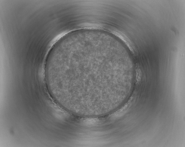 X0000114661074200911171106