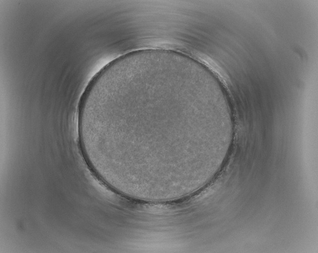 X0000114661079200911171106