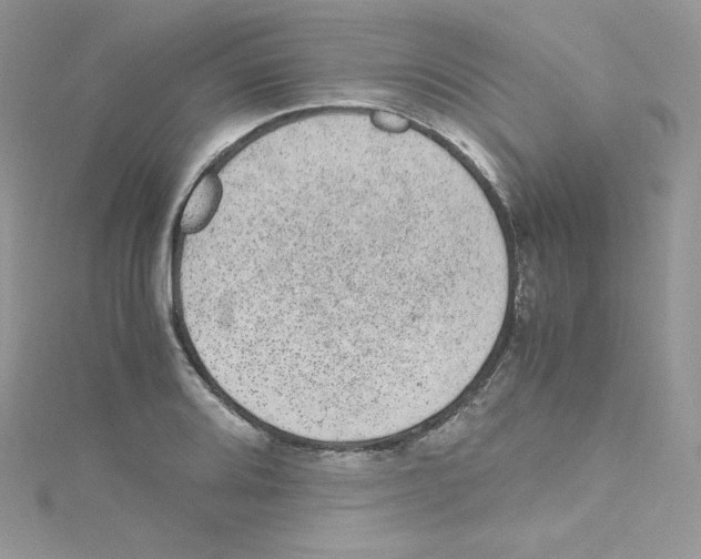 X0000114661080200911171106