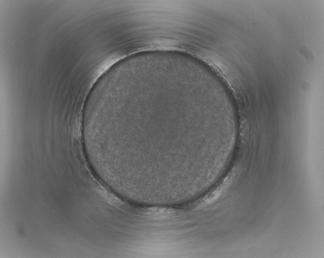 X0000114661081200911171106