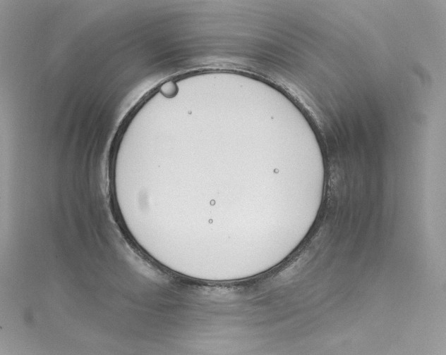 X0000114661082200911171106