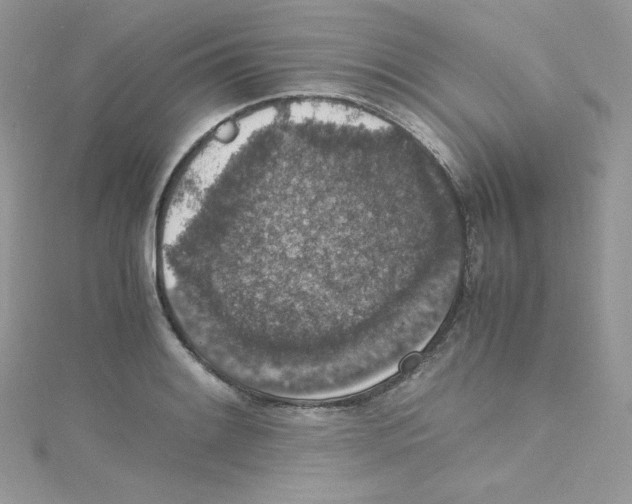 X0000114661084200911171106