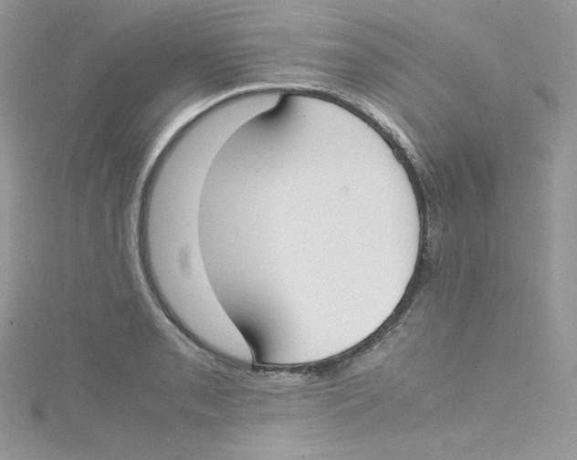 X0000114661085200911171106