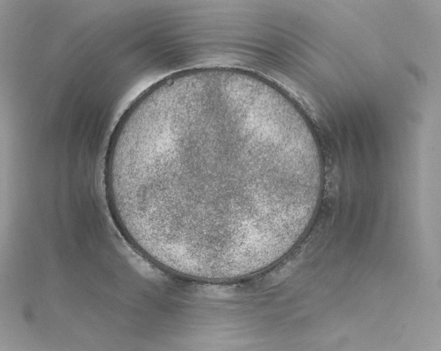 X0000114661086200911171106