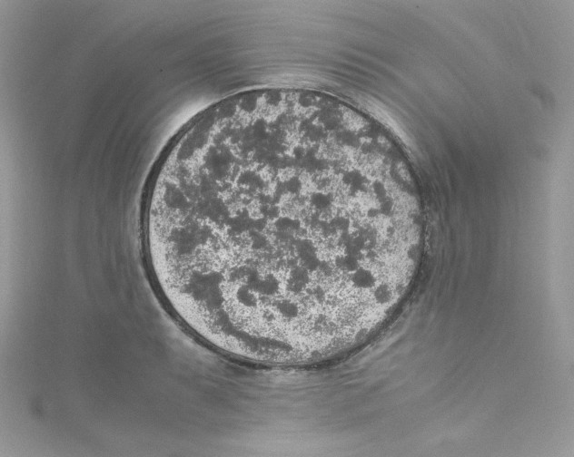 X0000114661087200911171106