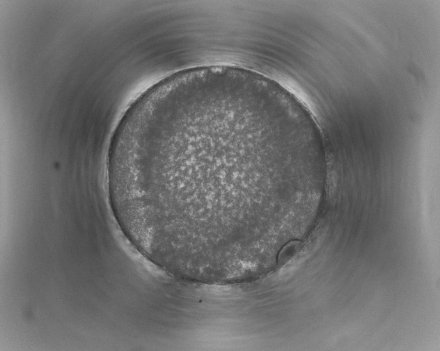 X0000114661088200911171106