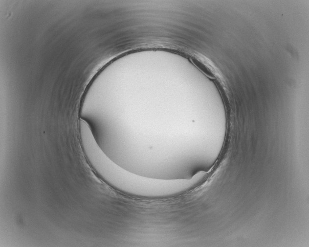 X0000114661089200911171106