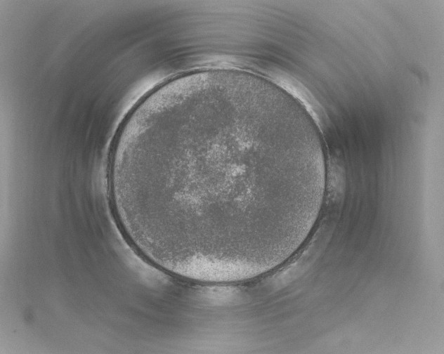 X0000114661090200911171106