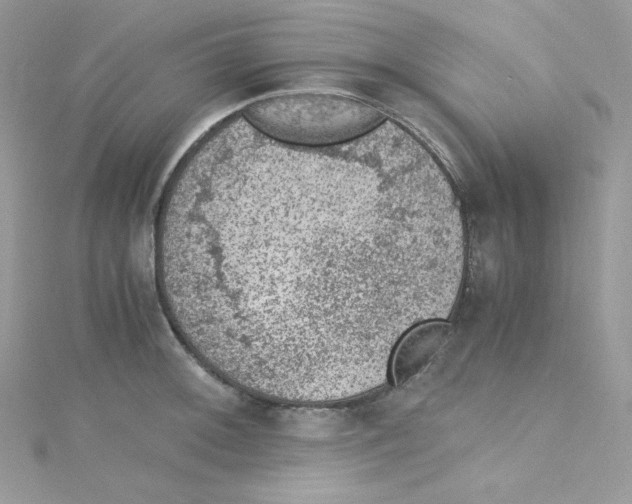 X0000114661092200911171106