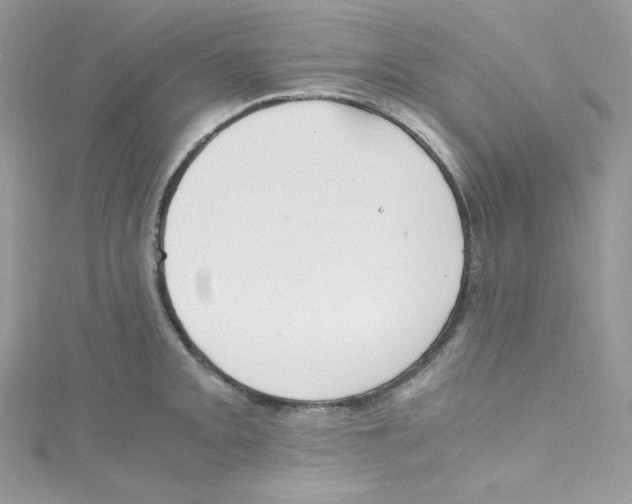 X0000114661093200911171106