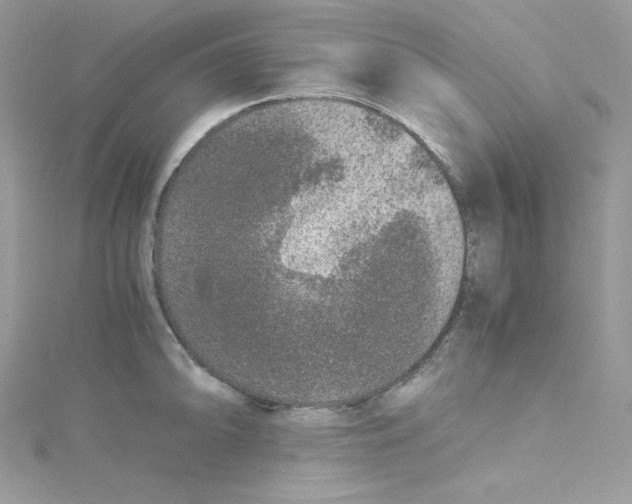 X0000114661094200911171106