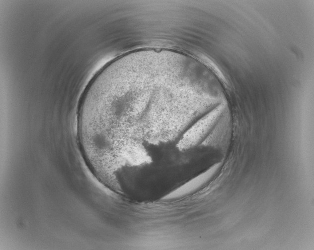 X0000114661095200911171106