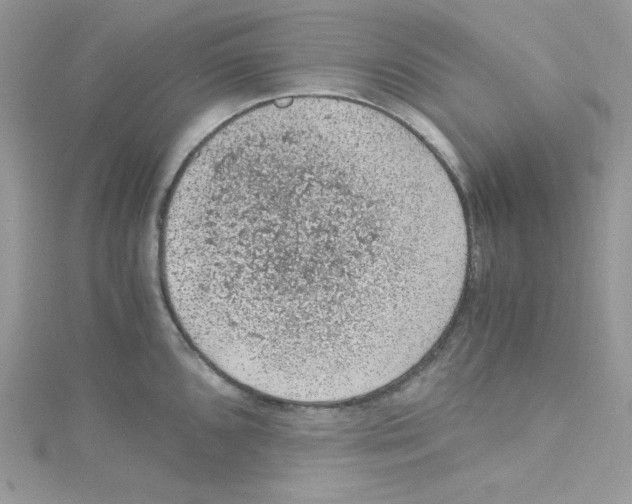 X0000114661096200911171106