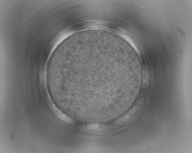 X0000114661098200911171106