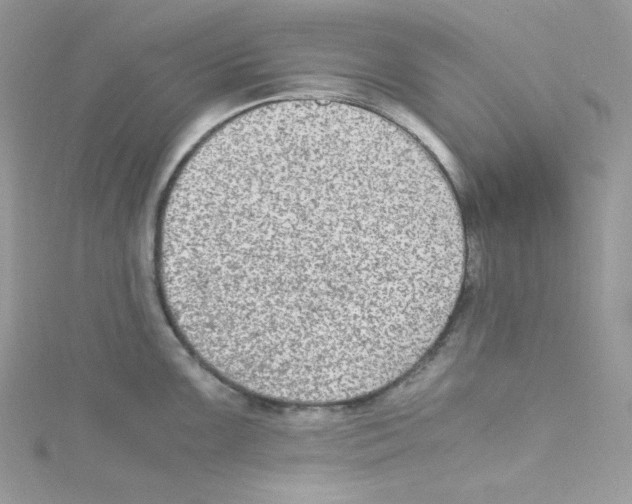 X0000114661099200911171106