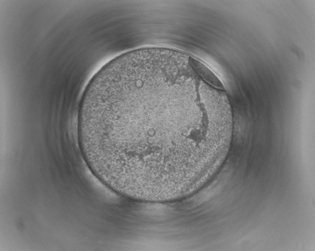 X0000114661100200911171105