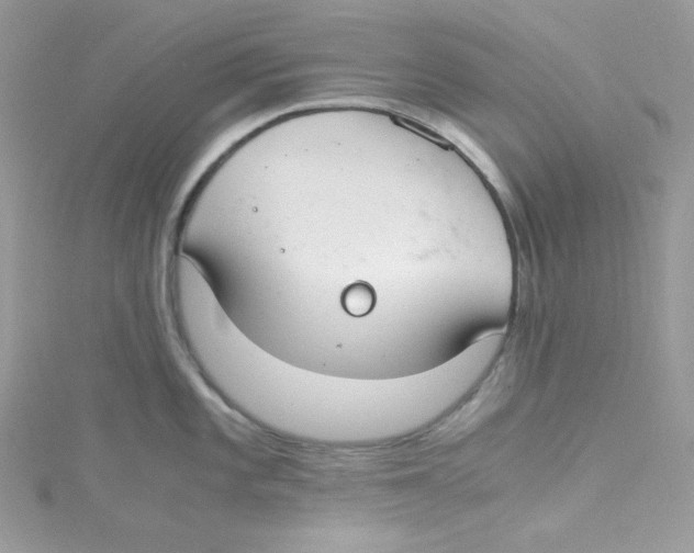 X0000114661101200911171105