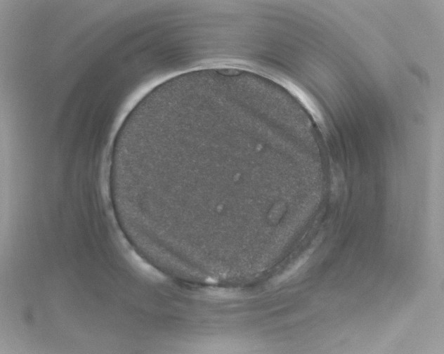 X0000114661102200911171105