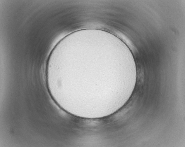 X0000114661103200911171105