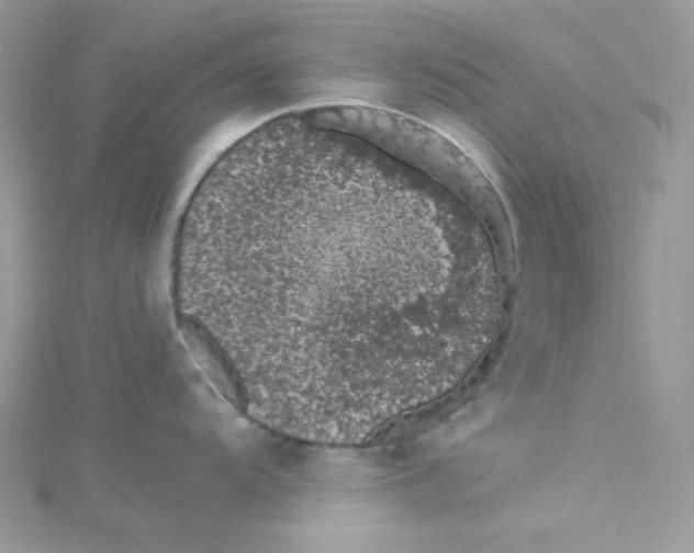 X0000114661104200911171105