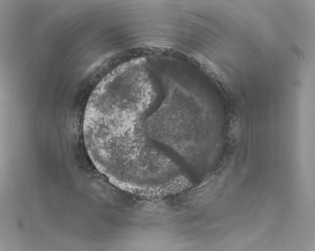 X0000114661110200911171105